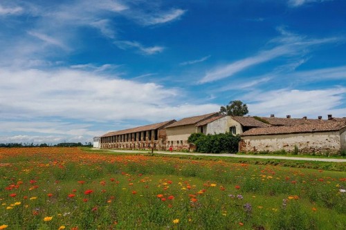 Lombardia, parere negativo a due impianti agrivoltaici nel Pavese — suolo agricolo al centro della decisione regionale